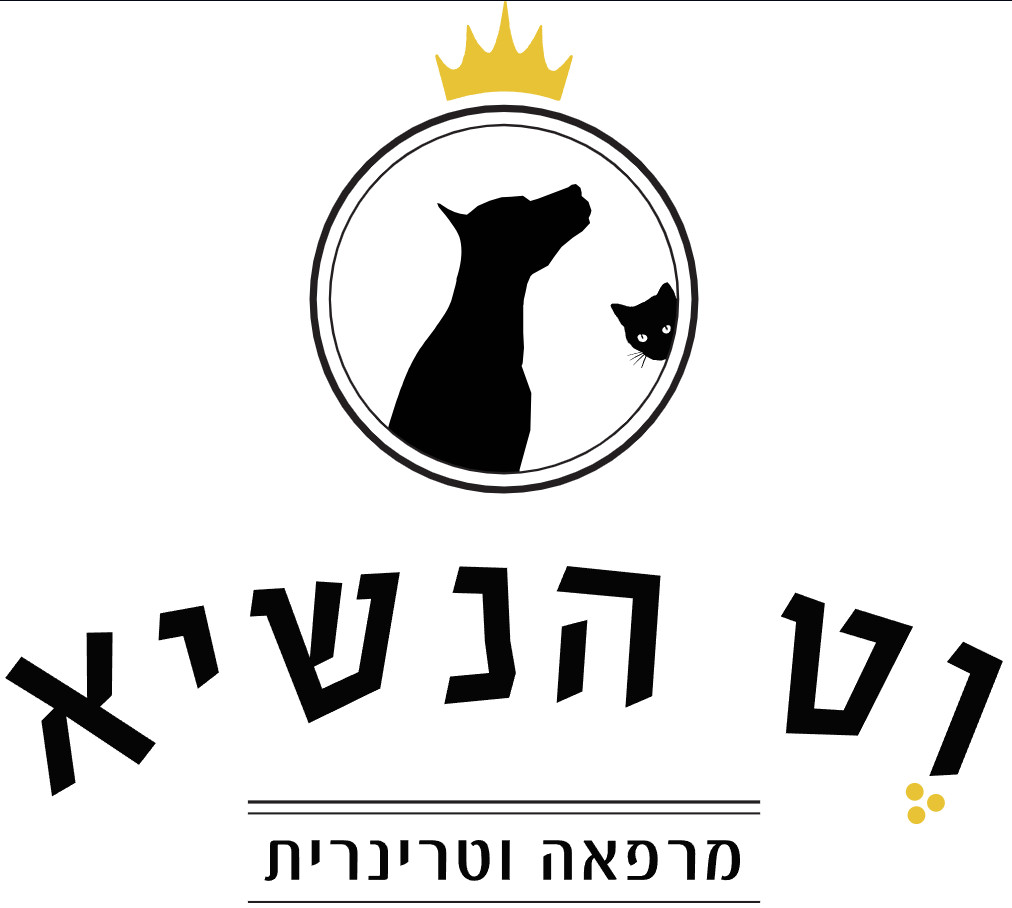 וט הנשיא