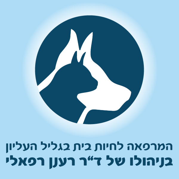 ד