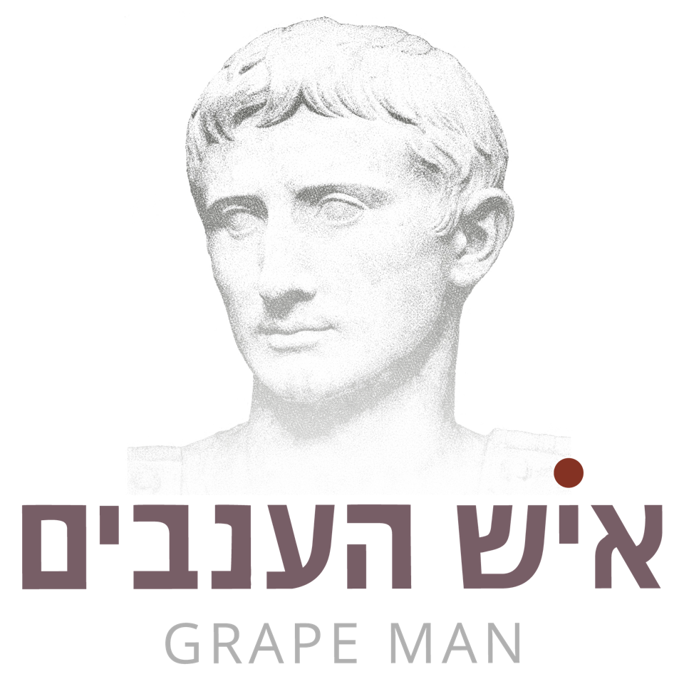 איש הענבים המרכז ליינות
