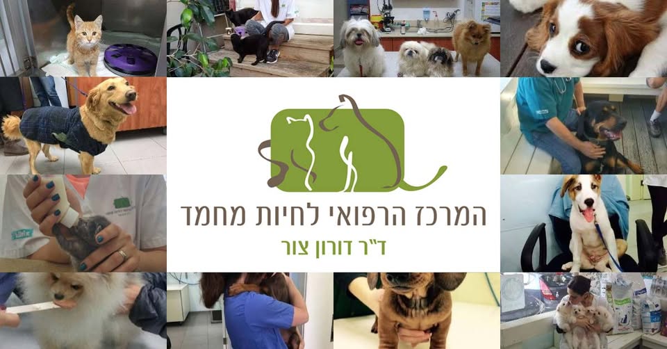 המרכז הרפואי לחיות מחמד