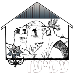 mazkirut@kamiad.co.il