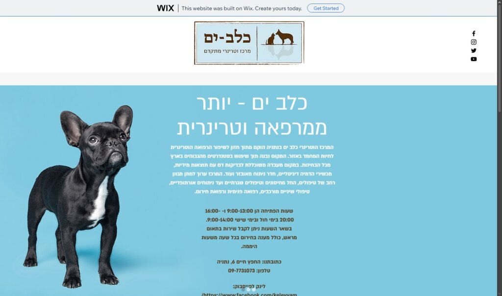 כלב-ים מרפאה וטרינרית