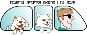 תיבת נח