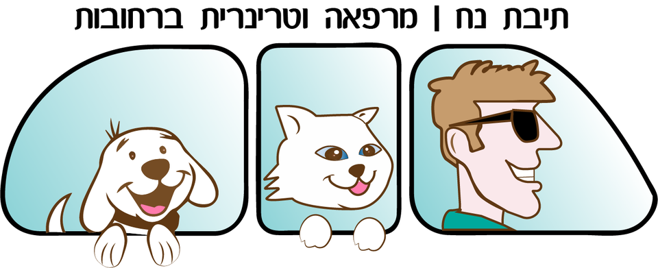 תיבת נח