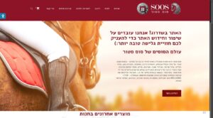 עולם הסוסים של סוס סטור